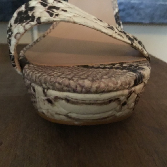 Steve Madden Snake Skin Heels - Picture 9 of 10